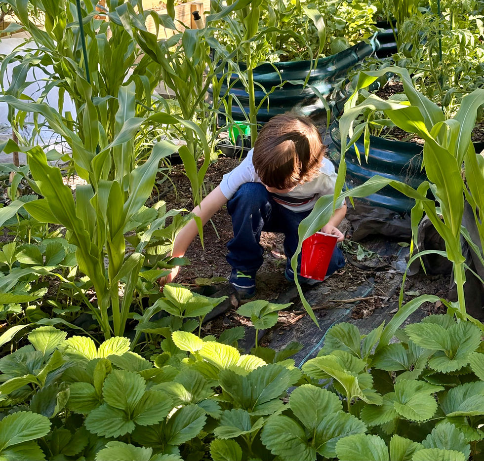 Working in the garden together