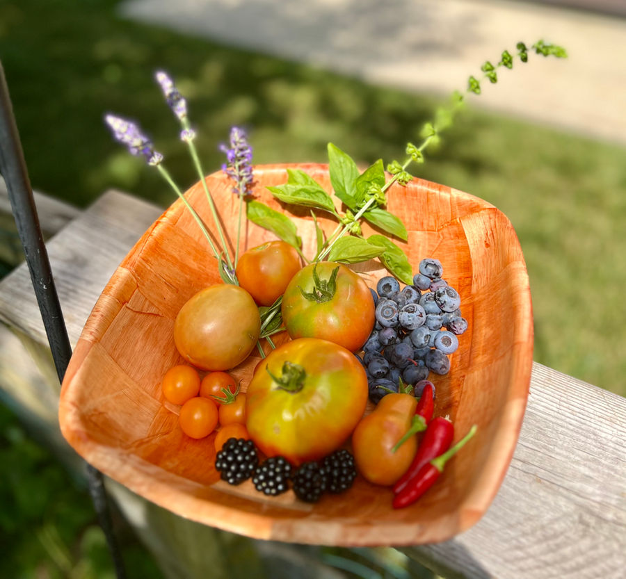 A bowl of fresh tomatoes and berries